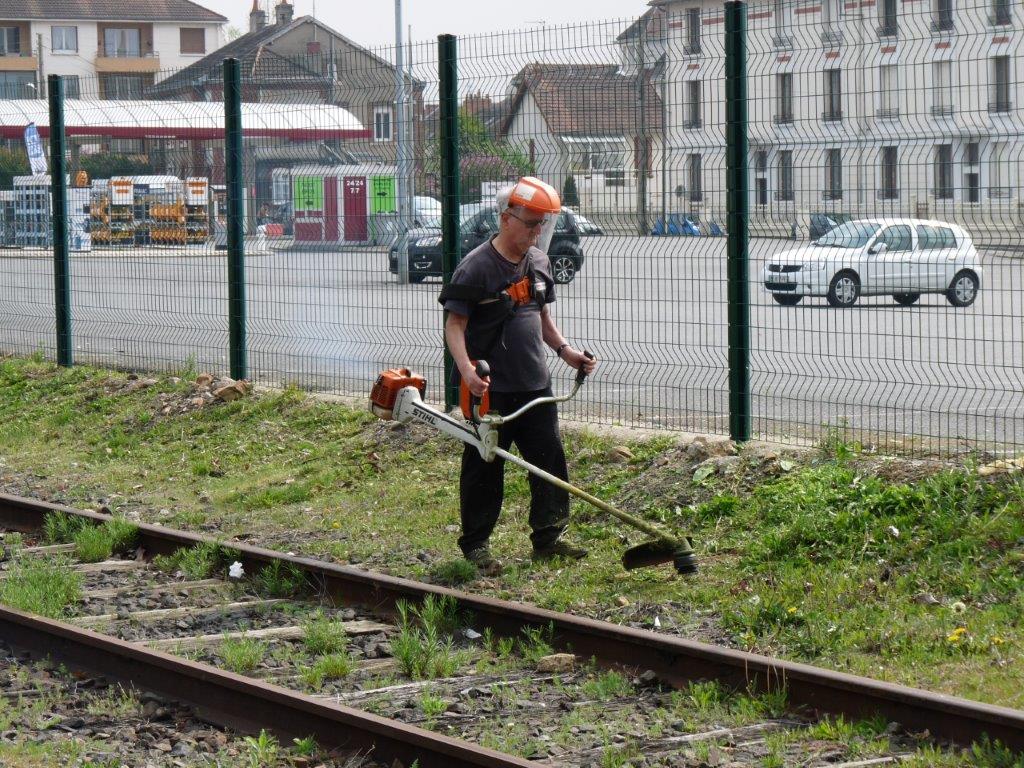 Le printemps est là, l'herbe aussi.