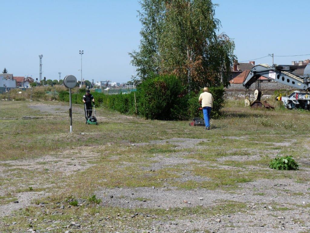 De l'herbe, de l'herbe, toujours de l'herbe.